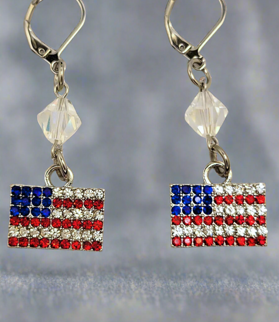 America Earrings